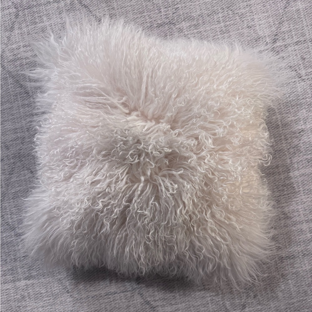West Elm Mongolian Lamb Pillow Cover + Insert - 16x16